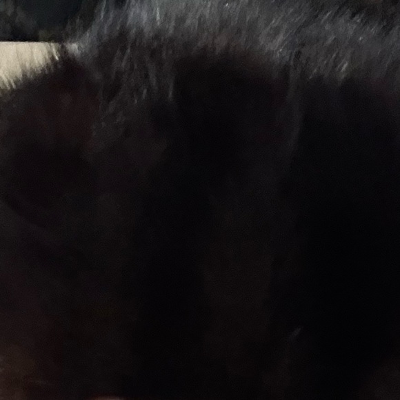 MINK pillbox hat circa 1963. circumference is Beautiful. - Picture 5 of 5